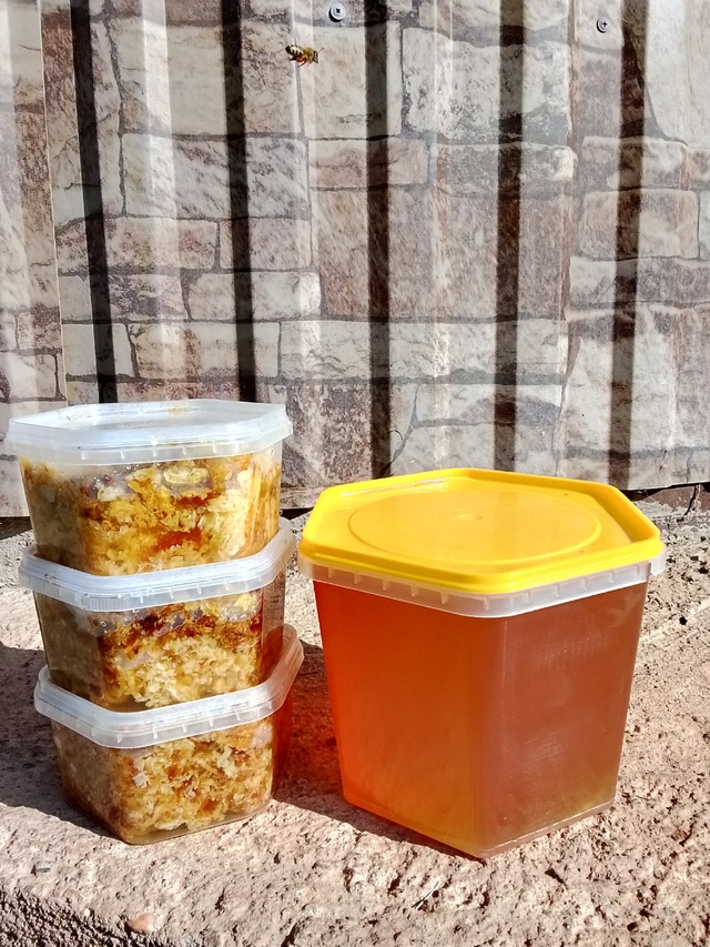 Продам мёд цветочный, первой качки.
Банки по 1, 1.5
А так ж...