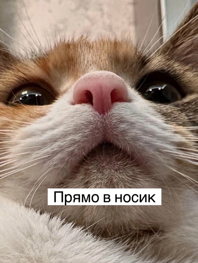 =»»