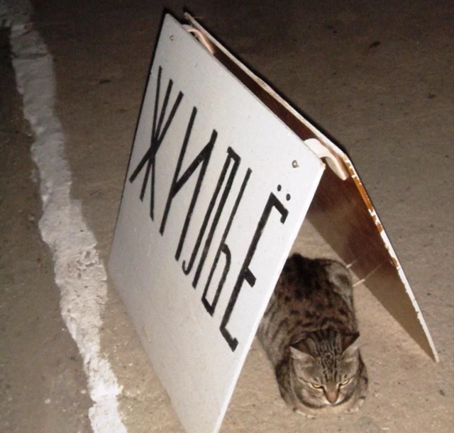 ❗️? Отнимать квартиры у россиян захотели в Госдуме
?...