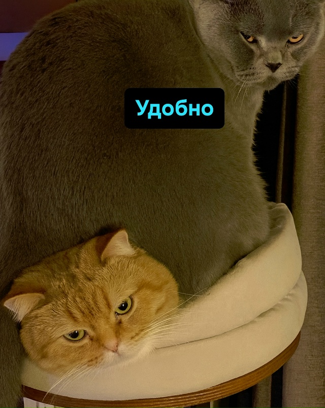 Брак — это компромисс. Ты молчишь, а она делает, как хоч...