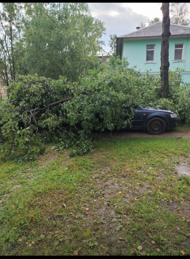 Доброе утро! Вот такое утро в Острове - 2