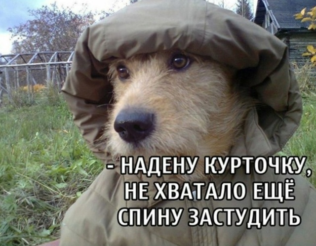 А как же парад?
Сегодня до 18:00 в Ярославле и области ож...