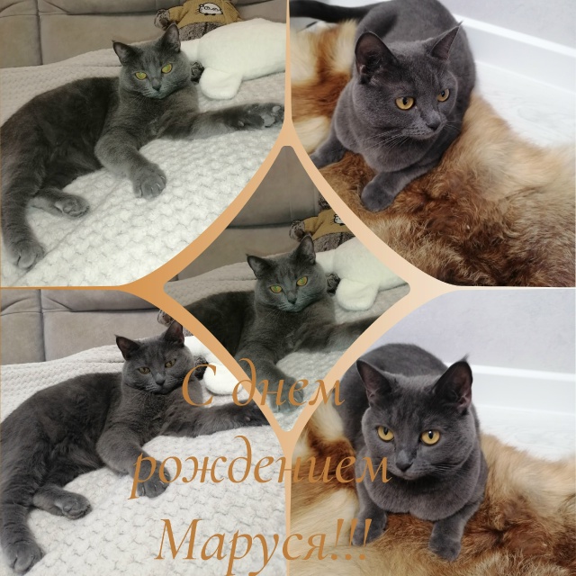 Маруси сегодня 4года