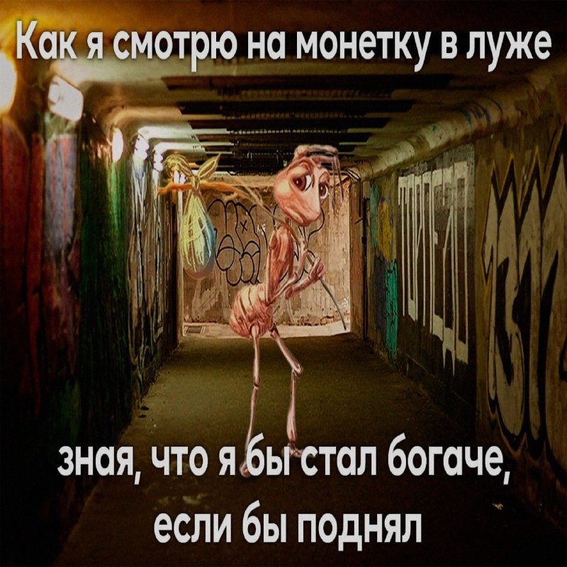Ночная подборочка
Выходные, не спим