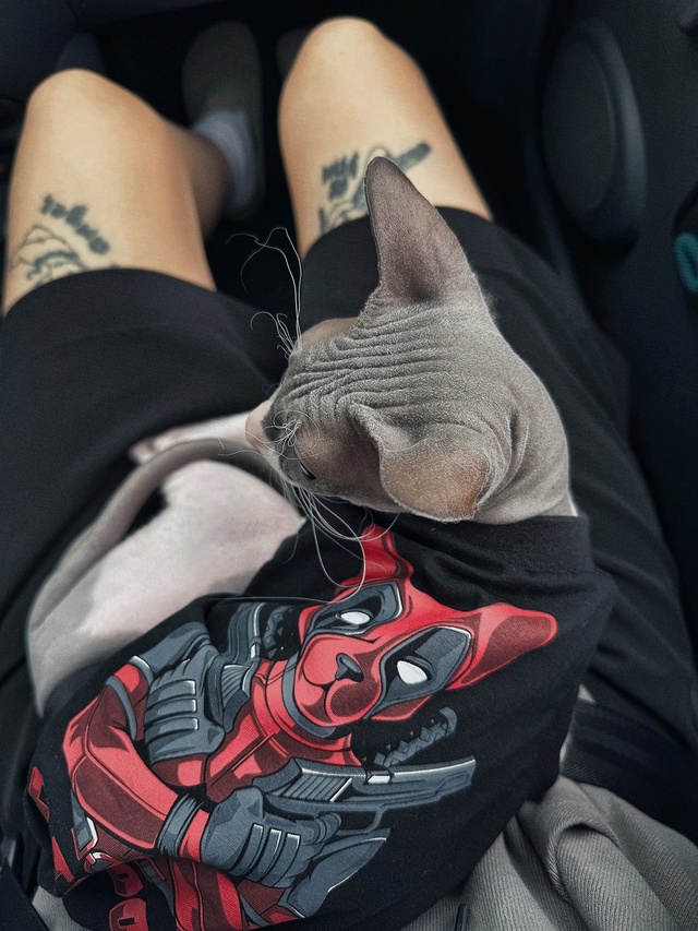 Первая летняя поездка в этом году ?
Стич абсолютно сп...