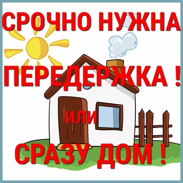 🆘Санкт-Петербург!🆘 СРОЧНО!🆘
Мальчик Гаврюша ищет до...