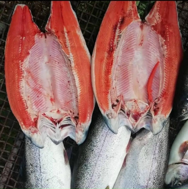 *💫Доброго времени суток уважаемые жители г. ЛАНГЕПАС! ...