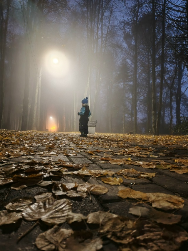 Эх золотая , туманная осень 🍁