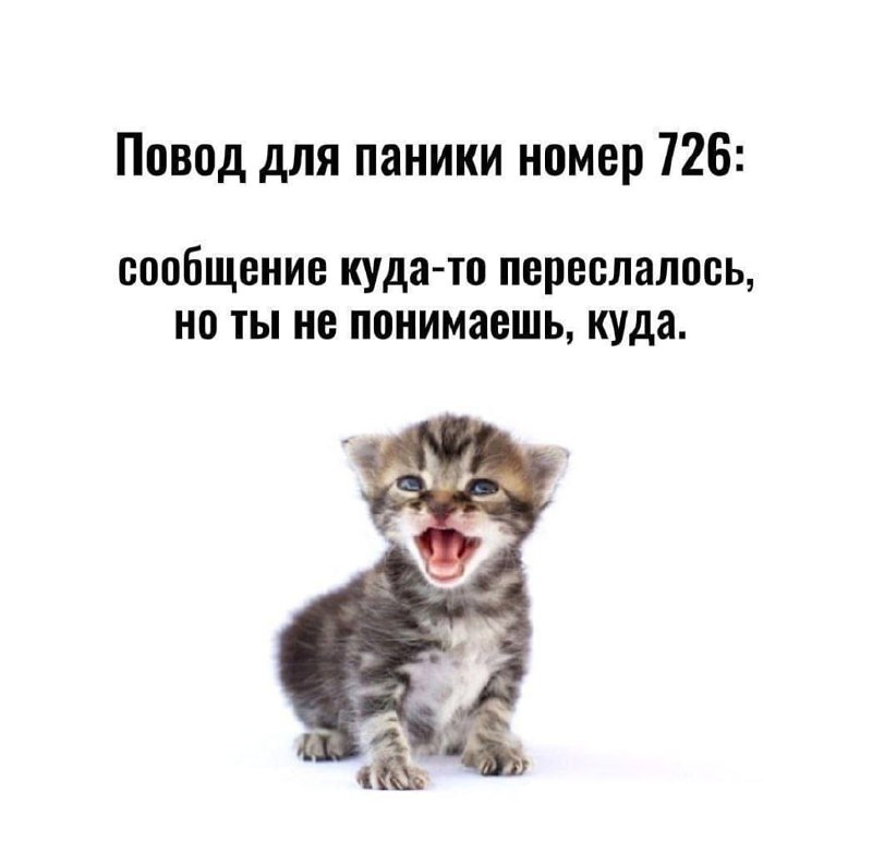 Утренняя подборочка