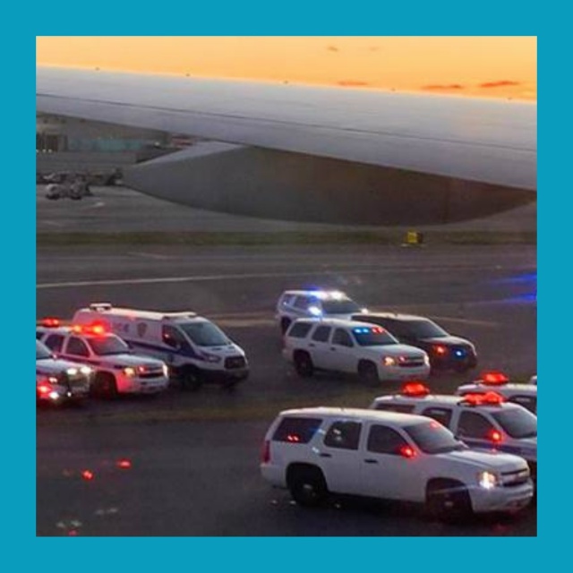 Три буквы, из-за которых развернули самолёт
Рейс American A...