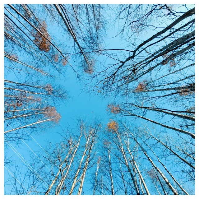 Осенний парк.