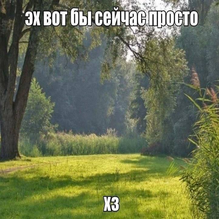 Утренняя подборочка