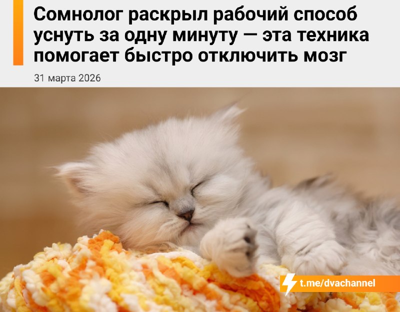 Появился рабочий способ уснуть за минуту — он помогает быстро отключить мозг
Идея состоит в том, чт