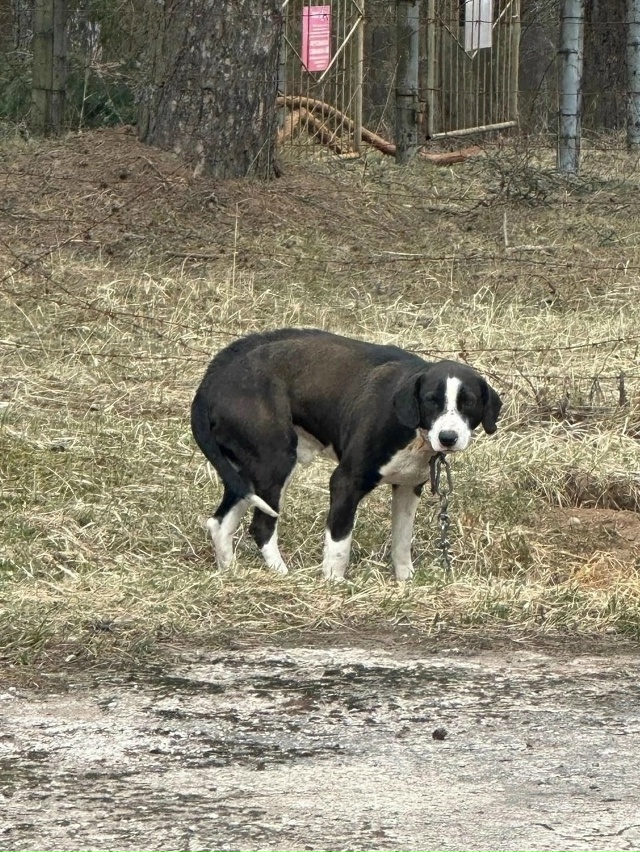 Сотворим Новогоднее чудо вместе! Снова просим помощи д...