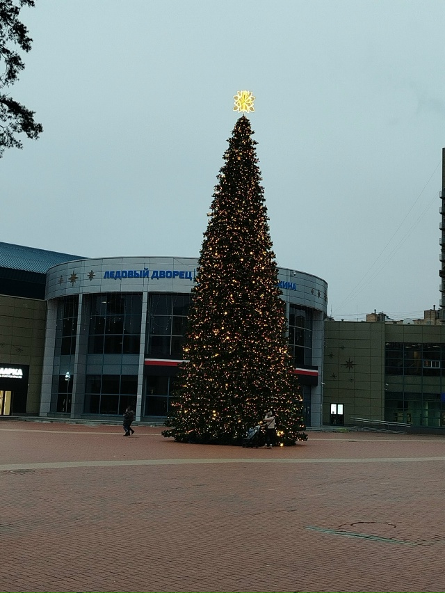 Нравится ли вам наша ёлочка на площади?