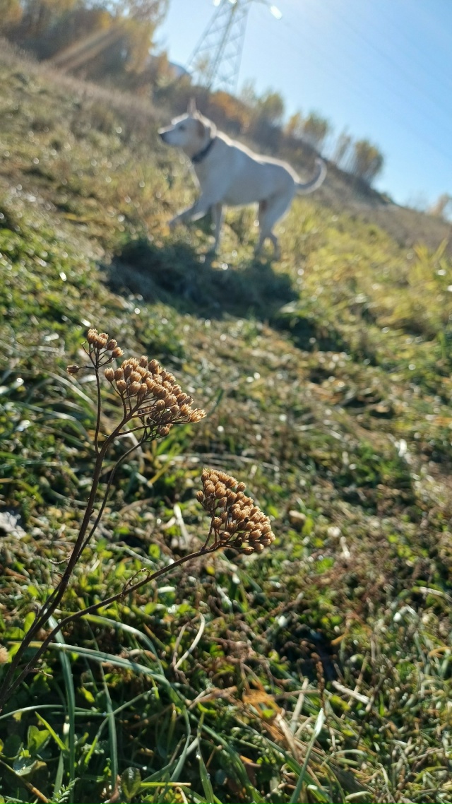 Очень классная погода👌
Особенно одуванчик) Скоро нас?...