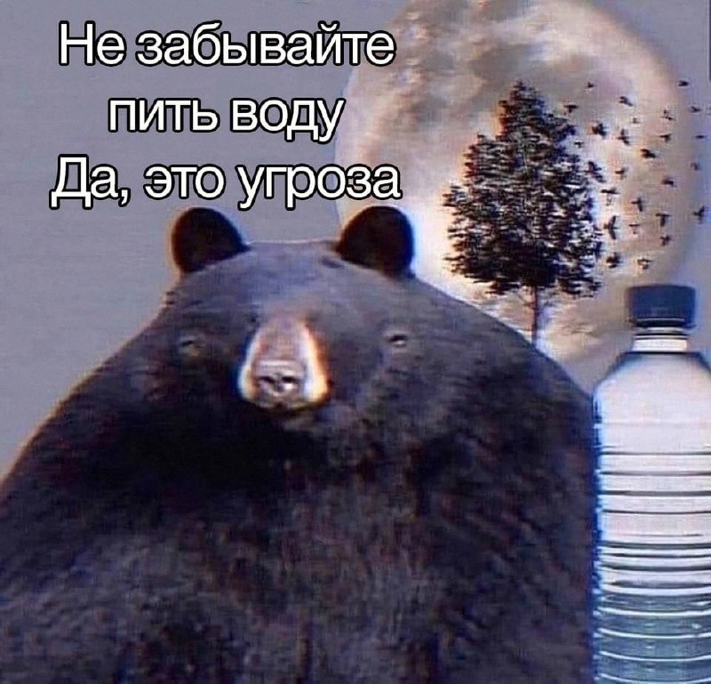 Утренняя подборочка