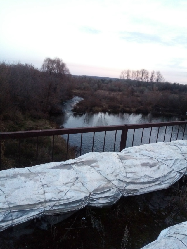 Немного позитива в ленту.На снимках-октябрь 2025 года на ...