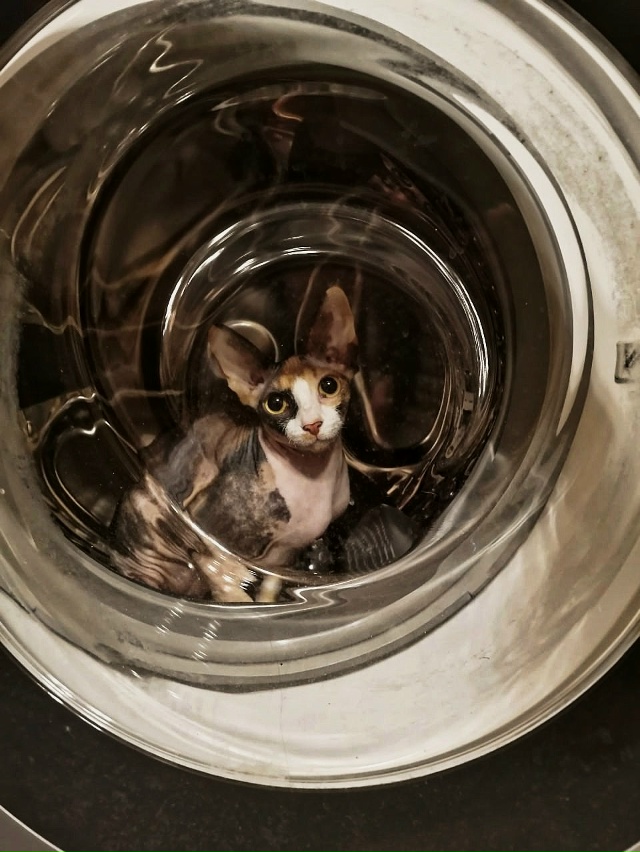 «Пять минут – полёт нормальный!»