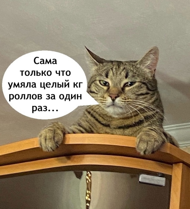 Нет в этом мире справедливости