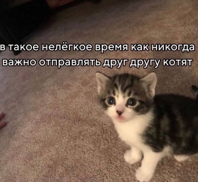 Утренняя подборочка