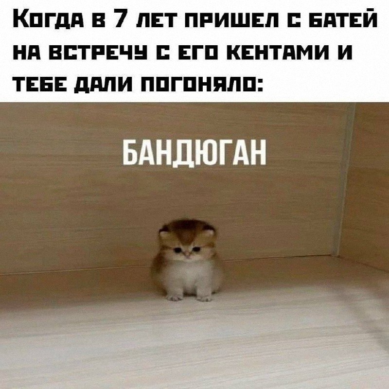 Утренняя подборочка