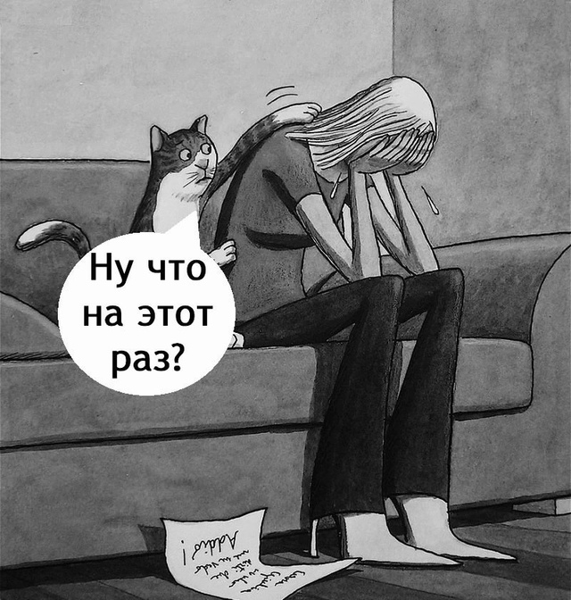 С котом сложно поспорить?