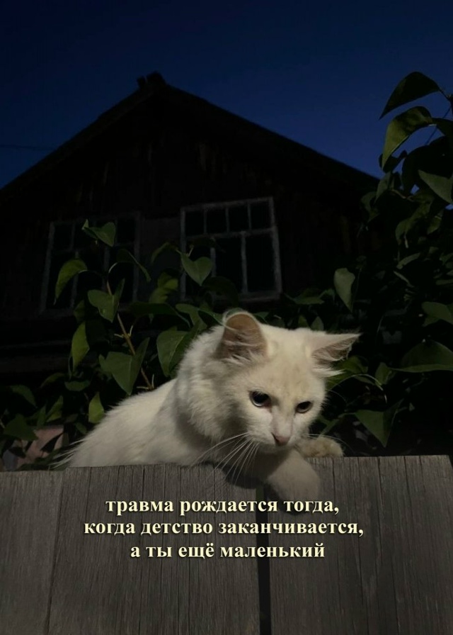 Травма не появляется сама по себе...