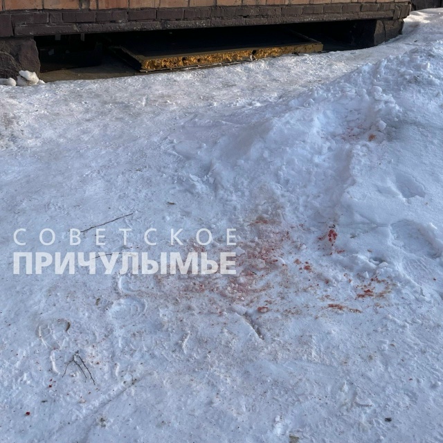 В Назарово косуля запрыгнула в окно квартиры пенсионе?...