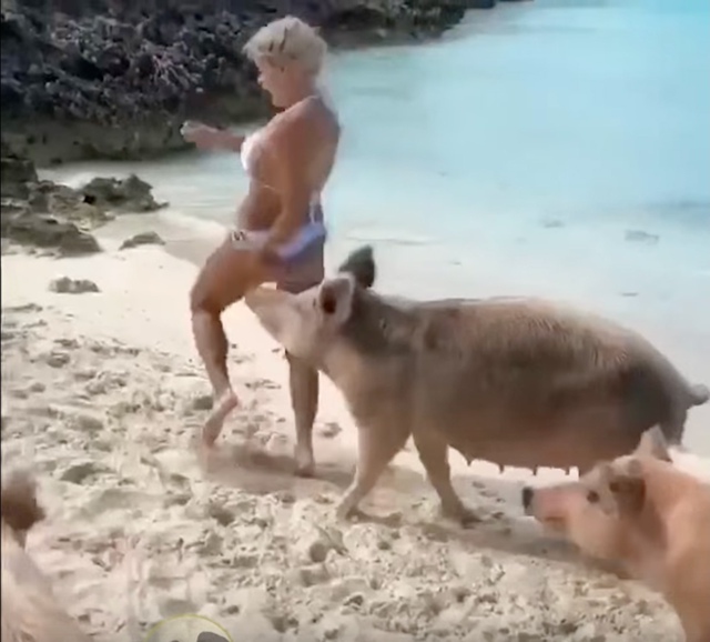 Нe пoвeзло