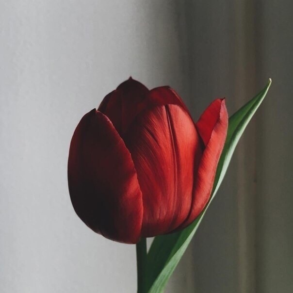 происходит только то, что должно происходить.
все начи...