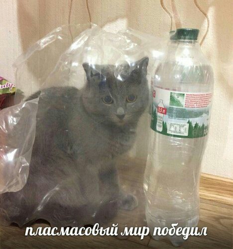 Ученые выяснили, что в стеклянных бутылках в 100(!) раз больше микропластика, чем в пластиковых буты