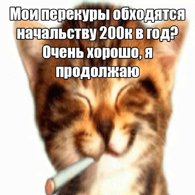 Утренняя подборочка