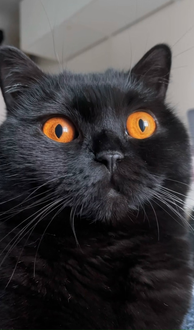 Оххх эти глаза😍