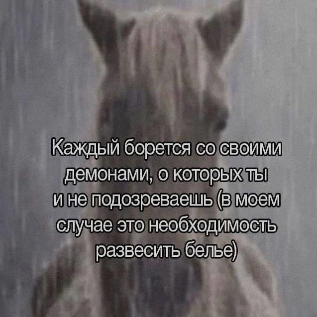 Ночная подборочка
Спать, режим