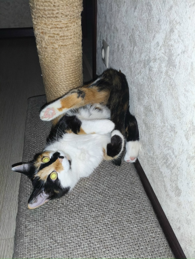 У Марфуши утро начинается с йоги.