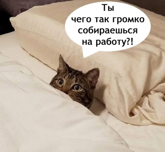 Это вообще очень возмутительно