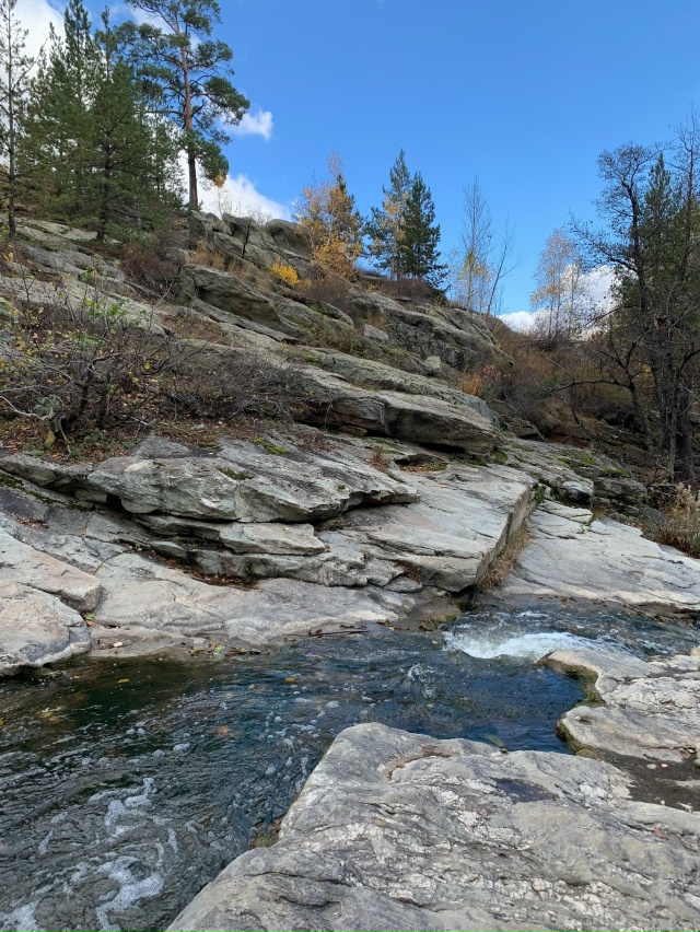 ? В Карагайском бору у реки Губерля — настоящая приро...