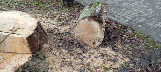 Ну кто же выпиливает по городу никому не мешающие двух?...
