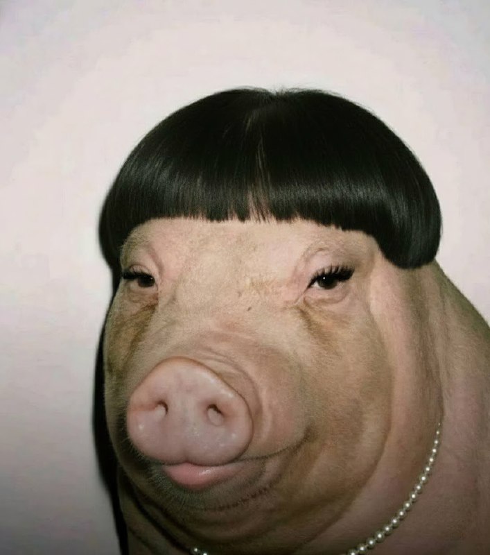 В интернете появился новый мем