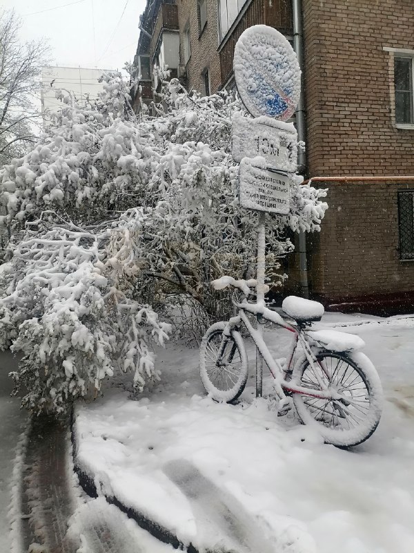 ❗️Москву и область конкретно завалило снегом прямо перед майскими праздниками — в регионе ввели «ора