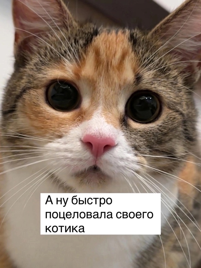 =»»