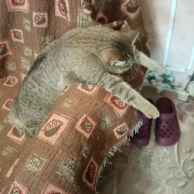 7 октября на улице Силикатной/Балтицкого (за городским ...