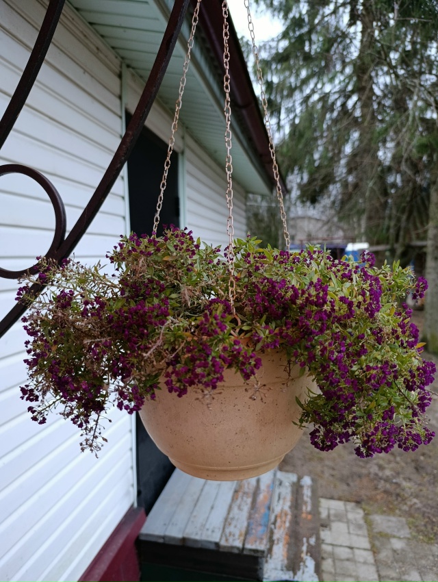 С началом декабря дорогие земляки!