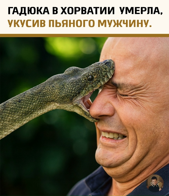 В Хорватии произошёл редкий и почти анекдотичный случ?...