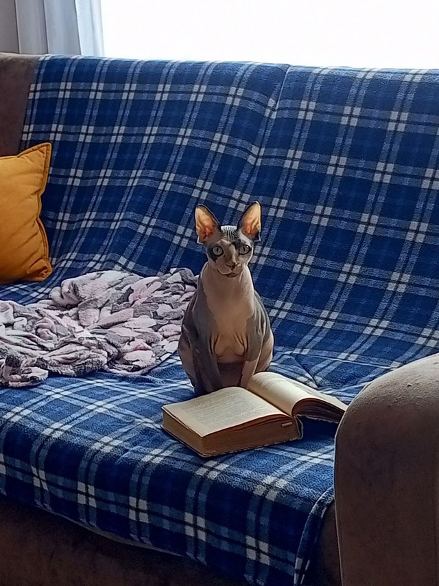 Наш первый пост)
Зайка, 6 лет, появилась почти год назад,...