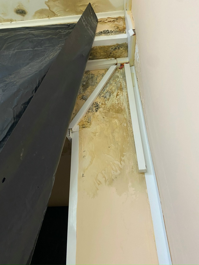 ❗Проблема с плесенью в детской поликлинике №7 г. Смоле...