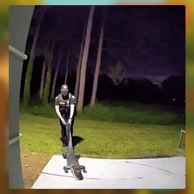 Безумные приколы
В жилых комплексах Флориды всегда ве?...