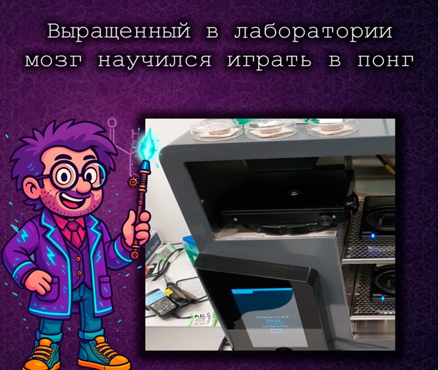 Лабораторный мозг научили играть в «Понг»
Австралийс?...