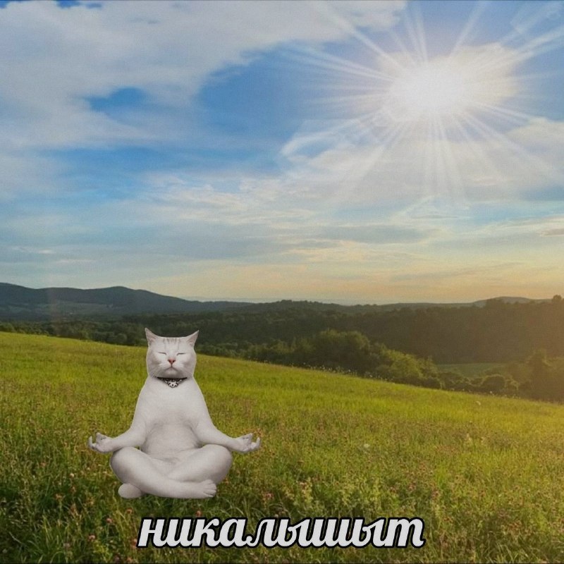 Ночная подборочка
Спать, режим